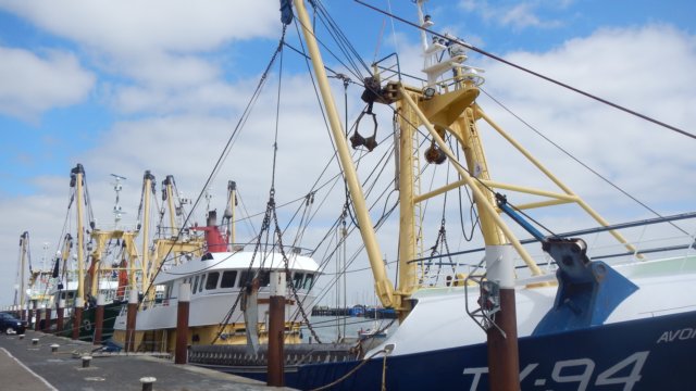 HWK Texel 2015 046.jpg